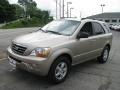 2008 Sand Beige Kia Sorento LX 4x4  photo #6