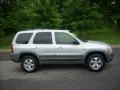 Satin Silver Metallic - Tribute LX V6 Photo No. 2