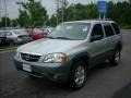 Satin Silver Metallic - Tribute LX V6 Photo No. 7