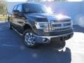 Tuxedo Black - F150 XLT SuperCrew Photo No. 1