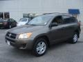 Pyrite Metallic - RAV4 I4 Photo No. 3