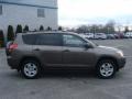 Pyrite Metallic 2010 Toyota RAV4 I4 Exterior