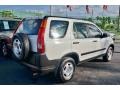 Taffeta White - CR-V LX Photo No. 26