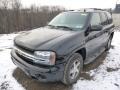 Black - TrailBlazer LS 4x4 Photo No. 5