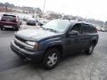 2006 Dark Gray Metallic Chevrolet TrailBlazer LS 4x4  photo #5