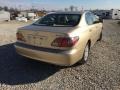Mystic Gold Metallic - ES 300 Photo No. 19