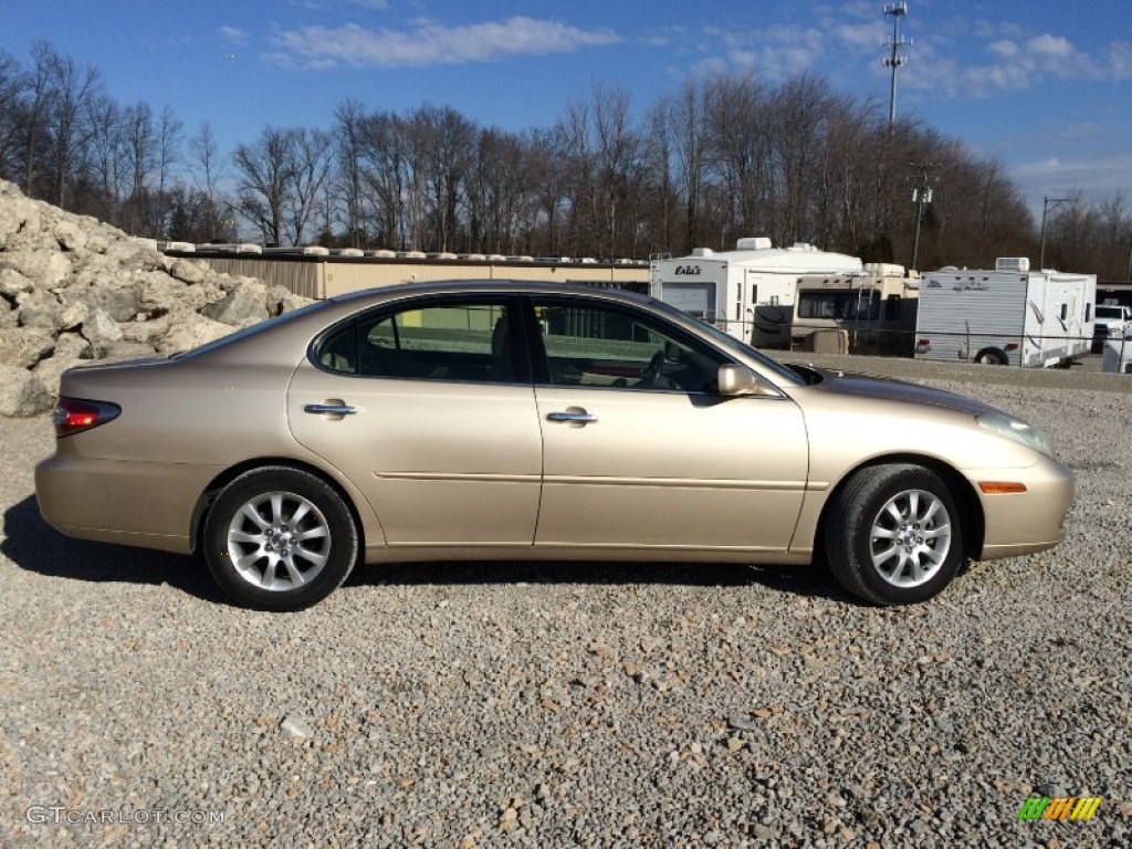 2003 ES 300 - Mystic Gold Metallic / Ivory photo #23