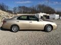 Mystic Gold Metallic - ES 300 Photo No. 23