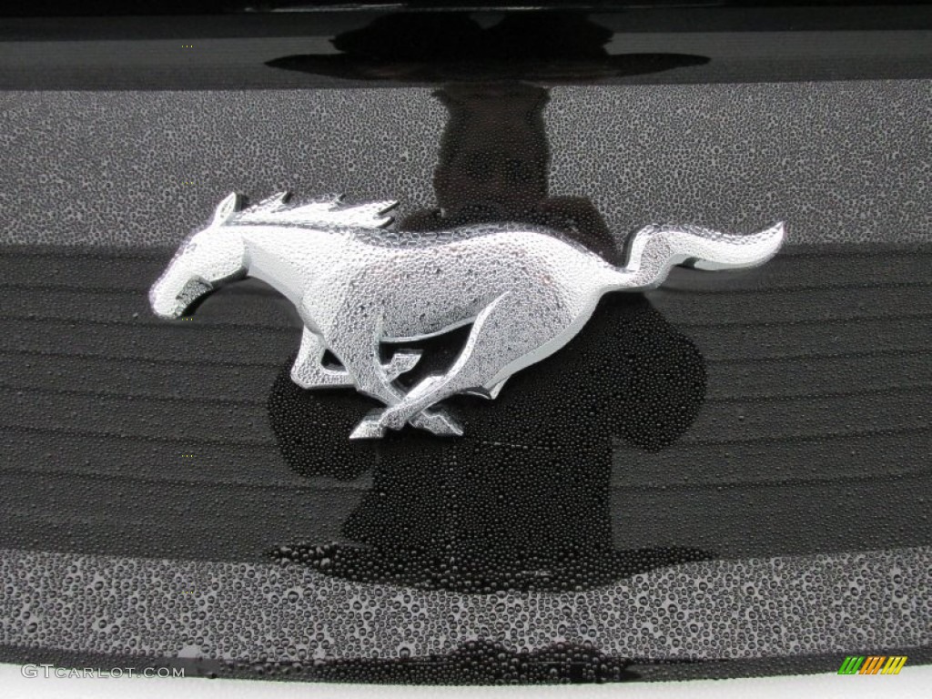 2015 Mustang EcoBoost Premium Convertible - Oxford White / Ebony photo #14