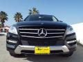 Black - ML 350 Photo No. 2