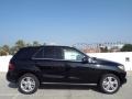 Black - ML 350 Photo No. 3