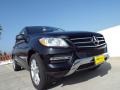 Black - ML 350 Photo No. 11