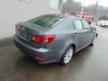 Nebula Gray Pearl - IS 250 AWD Photo No. 9