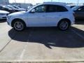 Glacier White Metallic - Q5 3.0 TFSI Prestige quattro Photo No. 4