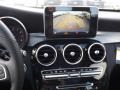 Paladium Silver Metallic - C 300 4Matic Photo No. 11
