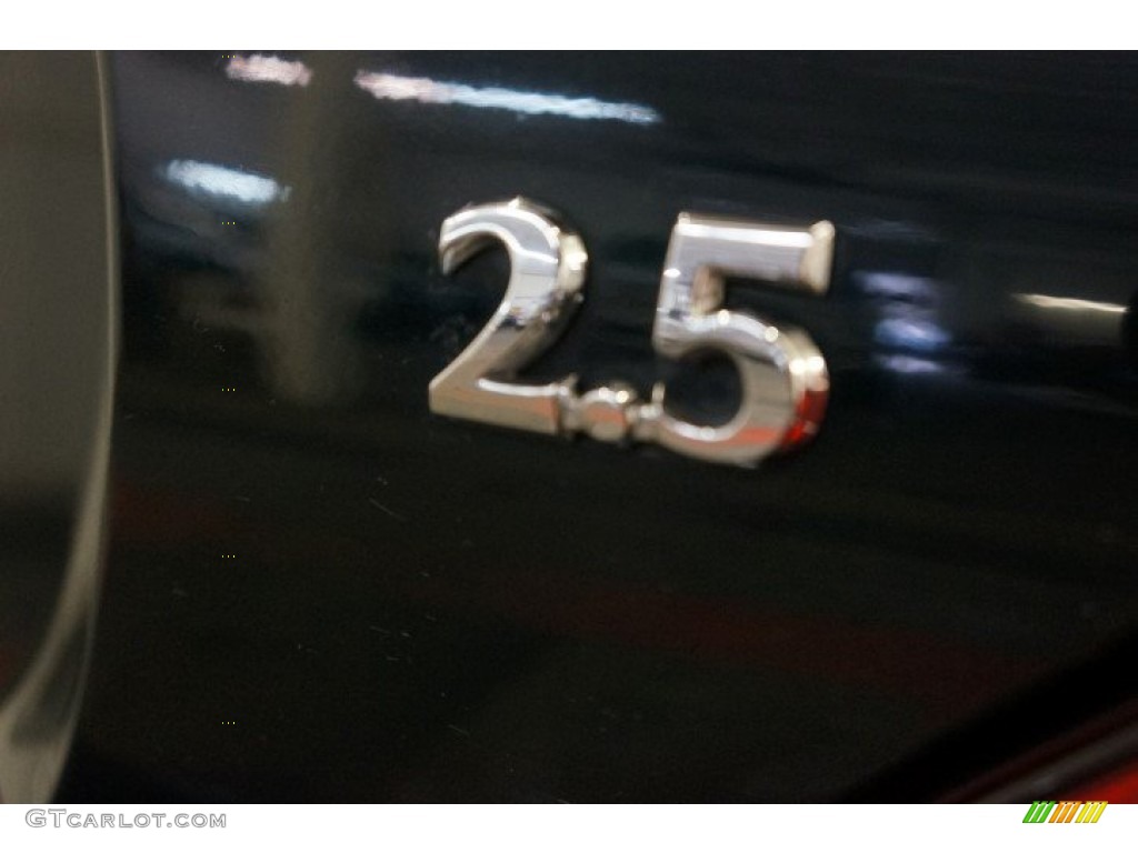 2004 X-Type 2.5 - British Racing Green / Barley photo #66