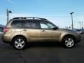 2009 Topaz Gold Metallic Subaru Forester 2.5 X Premium  photo #5