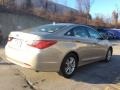 Camel Pearl - Sonata GLS Photo No. 4