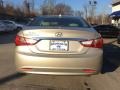 Camel Pearl - Sonata GLS Photo No. 5