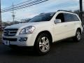 Arctic White 2009 Mercedes-Benz GL 450 4Matic