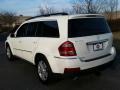 Arctic White - GL 450 4Matic Photo No. 11