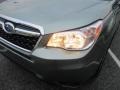 2015 Jasmine Green Metallic Subaru Forester 2.5i Premium  photo #29