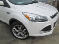 2015 White Platinum Metallic Tri-Coat Ford Escape Titanium  photo #2