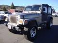 2003 Light Khaki Metallic Jeep Wrangler SE 4x4  photo #3