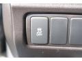 Silver Moon - TSX Sedan Photo No. 46