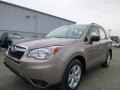 Burnished Bronze Metallic - Forester 2.5i Photo No. 7