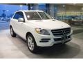 Polar White - ML 350 4Matic Photo No. 1