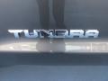 Magnetic Gray Metallic - Tundra SR5 Double Cab Photo No. 13