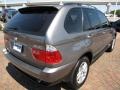 Stratus Grey Metallic - X5 3.0i Photo No. 13