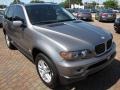 Stratus Grey Metallic - X5 3.0i Photo No. 15