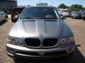 Stratus Grey Metallic - X5 3.0i Photo No. 16