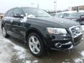 Brilliant Black - Q5 3.2 FSI quattro Photo No. 7