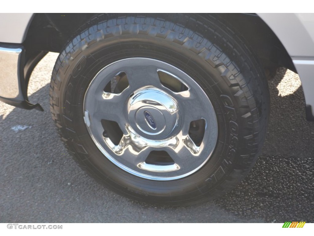 2006 F150 XLT SuperCrew - Silver Metallic / Medium/Dark Flint photo #9