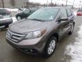 Urban Titanium Metallic - CR-V EX 4WD Photo No. 8