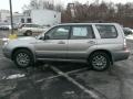 Crystal Gray Metallic - Forester 2.5 X L.L.Bean Edition Photo No. 10