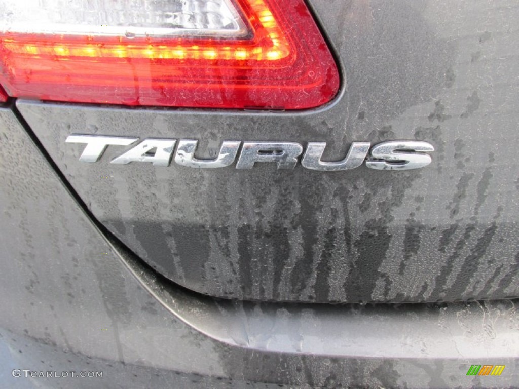 2015 Taurus SEL - Magnetic Metallic / Charcoal Black photo #13