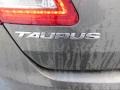 Magnetic Metallic - Taurus SEL Photo No. 13