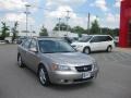Golden Beige - Sonata GLS V6 Photo No. 3