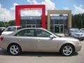 Golden Beige - Sonata GLS V6 Photo No. 4