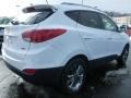 2014 Winter White Hyundai Tucson SE AWD  photo #6