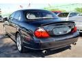 Ebony Black - S-Type R Photo No. 57