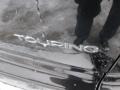 2007 Brilliant Black Crystal Pearl Chrysler Town & Country Touring  photo #6