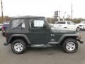 2003 Shale Green Metallic Jeep Wrangler X 4x4  photo #2