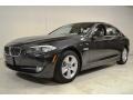 Dark Graphite Metallic II - 5 Series 528i Sedan Photo No. 10