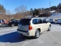 2009 Sand Beige Metallic GMC Envoy Denali 4x4  photo #3