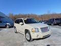 2009 Sand Beige Metallic GMC Envoy Denali 4x4  photo #9